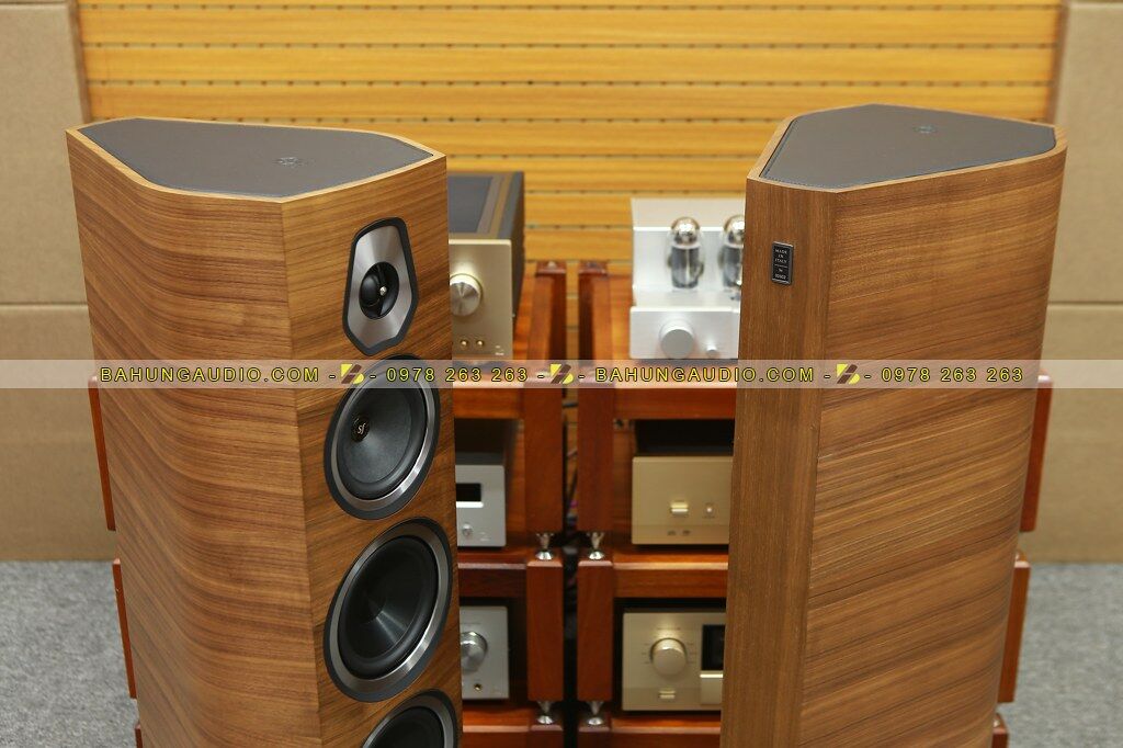 Loa Sonus Faber Sonetto V